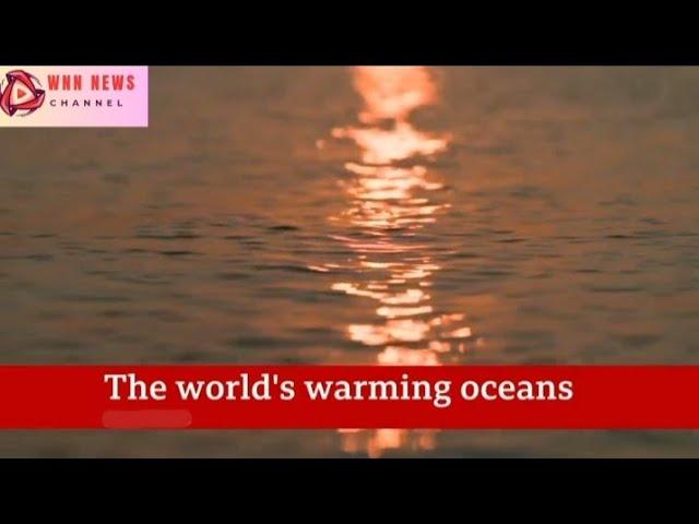 Oceans record hottest ever recorded temperature - WNN News