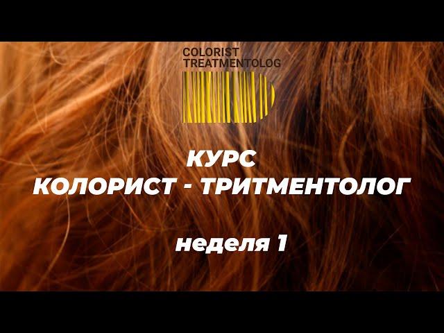 Курс КОЛОРИСТ-ТРИТМЕНТОЛОГ. 1 неделя обучения. Видеоотчет.