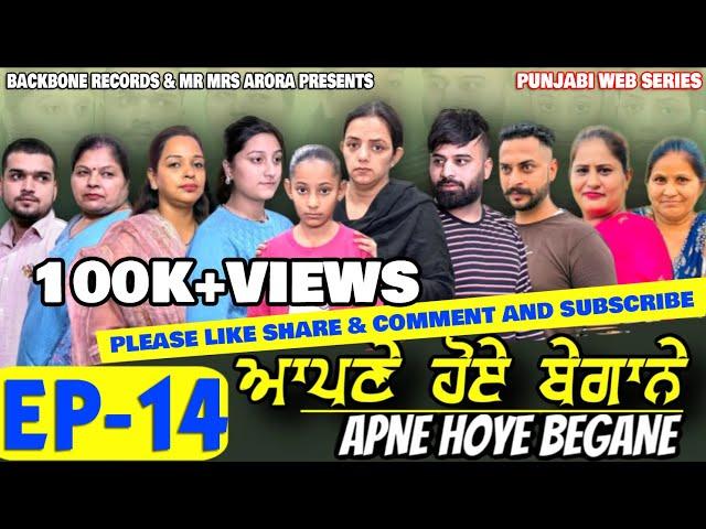 APNE HOYE BEGANE Episode 14 | NEW PUNJABI WEB SERIES | EMOTIONAL STORY | MR MRS ARORA | 4K VIDEO