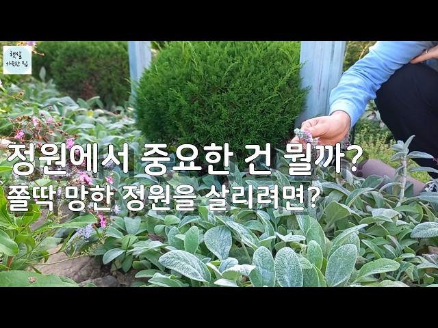 장마로 망한 정원을 되살리는 꿀팁 총망라!/경험으로 배운 방법 공유/가드닝  정원가꾸기 식물키우기 정원꾸미기