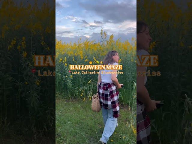 Corn mazes and hayrides around Orlando!