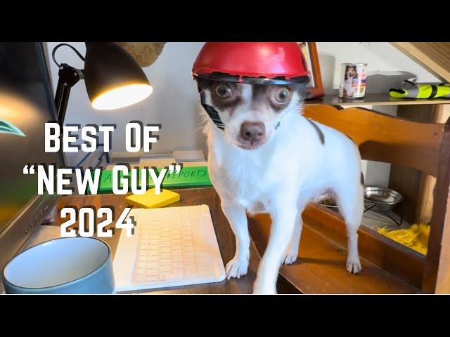 Can’t Wait to See What the “New Guy” Does in 2025!