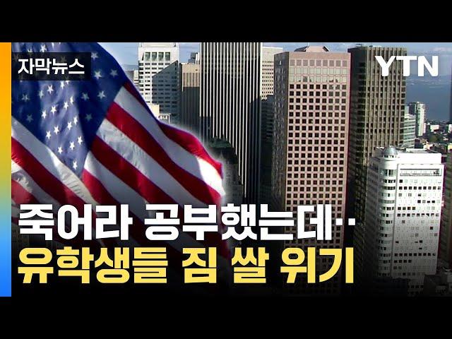 [자막뉴스] "100% 운"...공부 끝낸 미국 유학생 상당수가 '귀국' / YTN