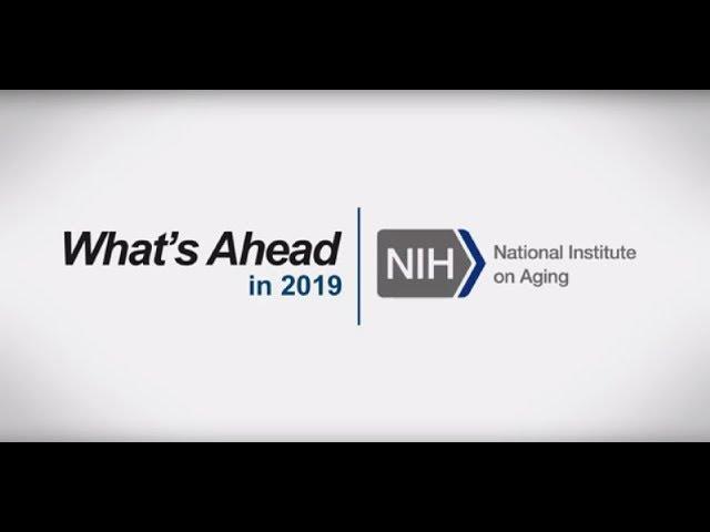 What’s Ahead in 2019 for the National Institute on Aging, NIH