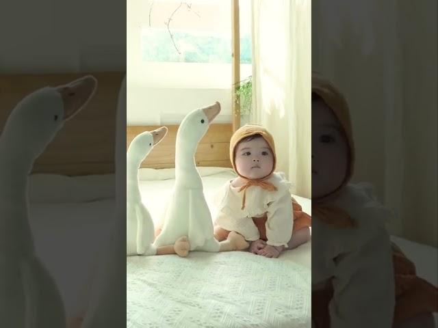 6개월 된 인절미 | Is this a baby or a doll? | 6개월 귀여운 아기 | Adorable baby #shorts #baby
