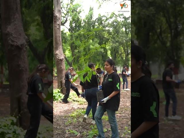 Y4D Tree Plantation Drive | Pune