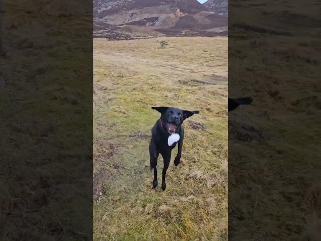 Walking In The Angus Glens - Glen Mark In Scotland!