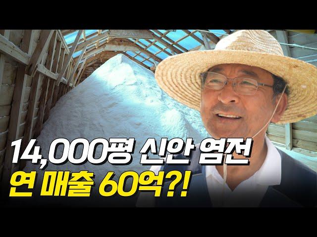 14,000평 신안 염전에서 생산한 천일염으로 연 매출 60억?!