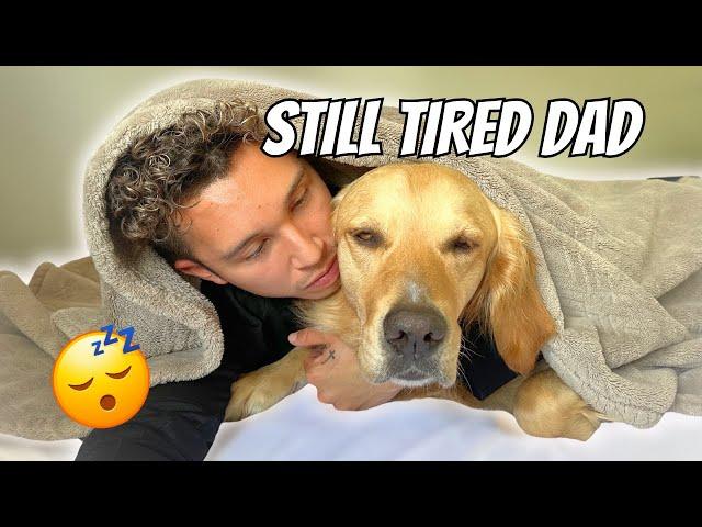 A DAY IN THE LIFE OF A GOLDEN RETRIEVER