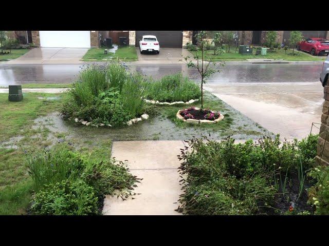 Austin Texas Flash Flood - May 1, 2021 - Soaking My Backyard Garden