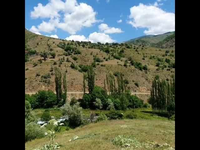 Aksu Vadisi (Pokot)