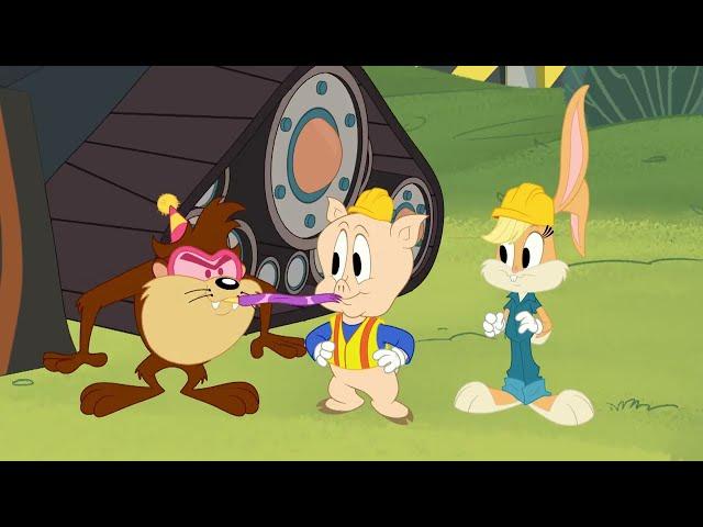 Welcome To Cartoonito! | DStv channel 302 | DStv