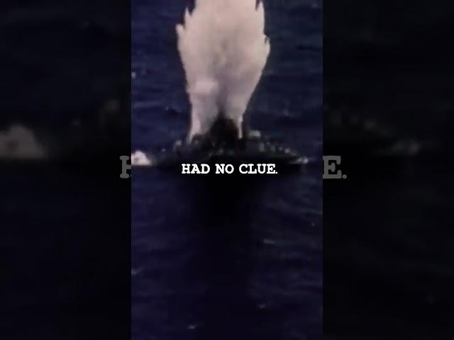 The Sub That Vanished Into Soviet Waters