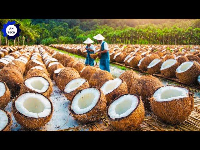 45 Most Satisfying Agriculture Technology ► 25 | How To Harvest And Process Billions of Coconuts