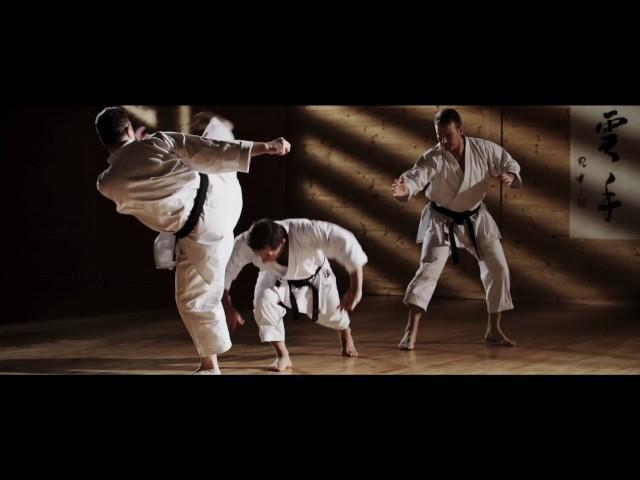 SHŌTŌKAN RYŪ KARATE DŌ KATA - Master Dario Marchini - Trailer Volume 2