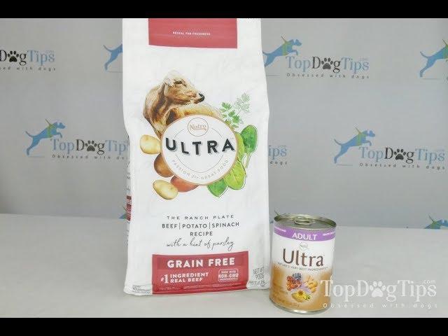 NUTRO Ultra Dog Food Review