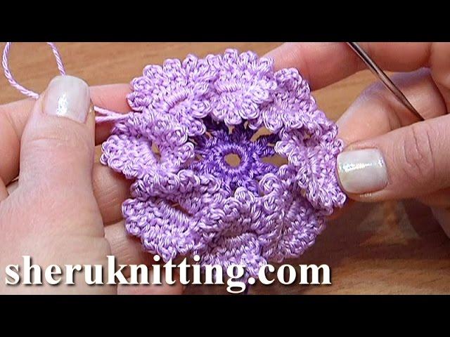 Crochet Flat Center Flower With Picots/ 3D CROCHET #crochetflower