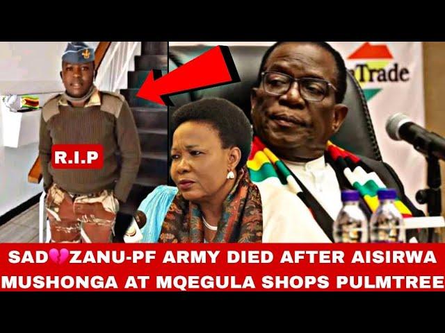 BreakingZanu-PF Army died zvisina tsarukano at Mqegula shops Pulmtree aisirwa mushonga