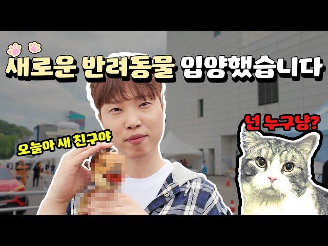 에라 모르겠다 애완동물 한마리 더 입양해버렸습니다ㄷㄷ