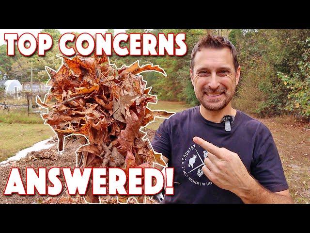 Fall Leaves For Compost & Mulch! Top Benefits & Concerns ANSWERED!