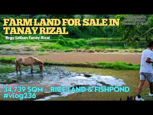 #vlog236 FARM LOT FOR SALE IN TANAY RIZAL PHILIPPINES (34,739 SQM) #vlog235