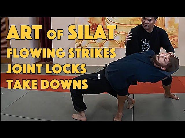 Silat Strikes and Finishes - Silat Suffian Bela Diri