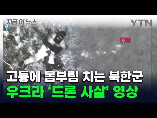 북한군, 숨을곳 없이 픽픽 쓰러져...우크라군 "드론으로 12명 사살" [지금이뉴스] / YTN