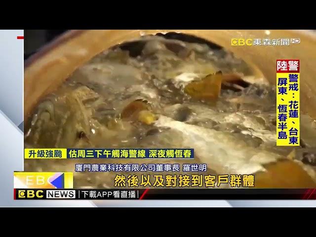 小三通復航漸復榮景 台青廈門沿海「科技養魚」@newsebc