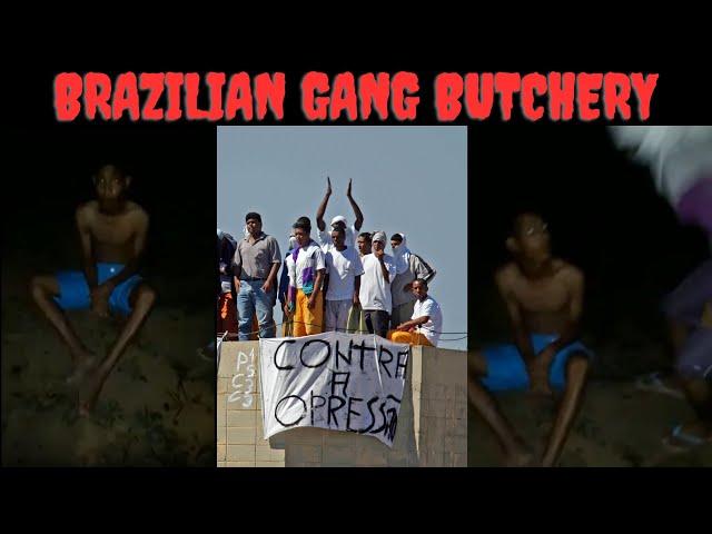 Are Brazilian Gangs Worse Than Mexican Cartels? | Two Shocking & Gruesome Videos!!!