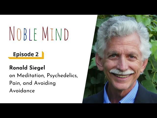 Ron Siegel on Meditation, Psychedelics, Pain, and Avoiding Avoidance | Noble Mind Ep 2