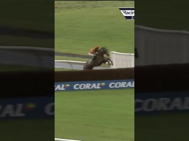 Outrageous leap! #horse #horseracing #sport #britishhorseracing #racingtv