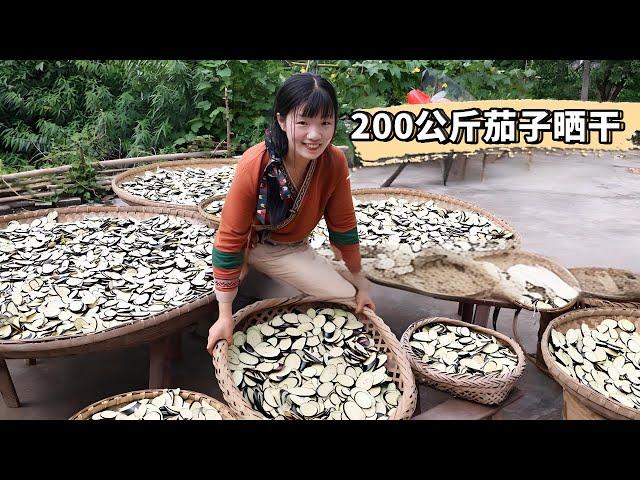 No one wants a kilogram of eggplant in 1 yuan either. A- mei turned it into mushroom flavor with 20