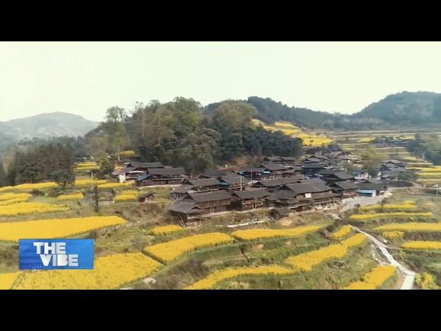 Moganshan scenic area an ideal antidote to city life