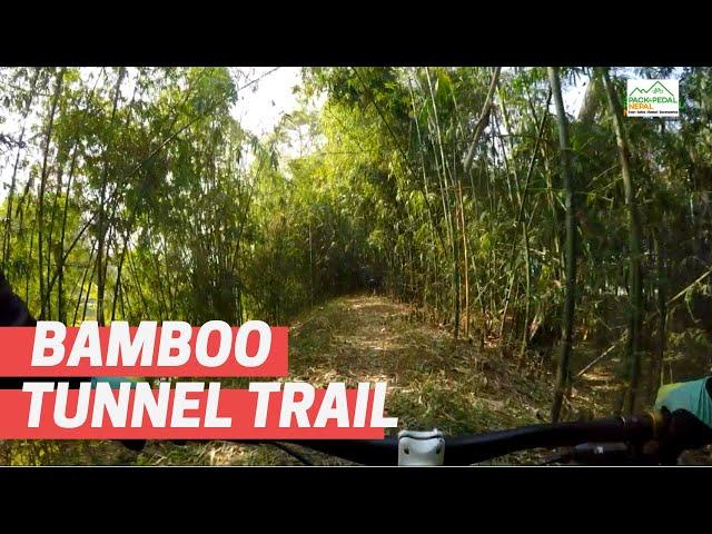 Cycling through the Natural tunnel through bamboo forest | JHAPA