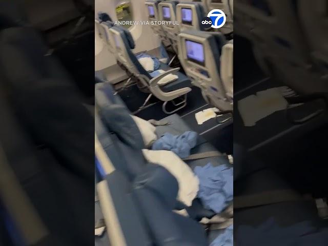 Delta flight forced to turn around because of diarrhea incident