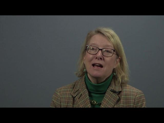 Dr. Margaret McCarthy at the NIH - PINK Panel