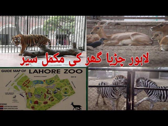 LAHORE ZOO 2020 | WILDLIFE PARK | LIONS AND TIGERS | DISCOVER PAKISTAN | LAHORE SAFARI