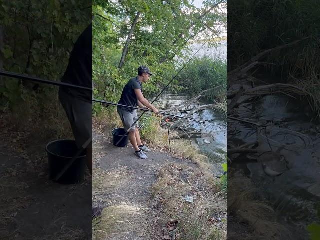 Подлещ на убийцу карася #рыбалка #fishing #фидер #лещ #feeder #bream