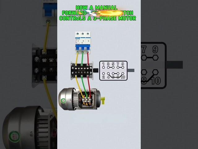 How Manual Switch Can Reverse a 3-Phase Motor | every electrician Must-Know 