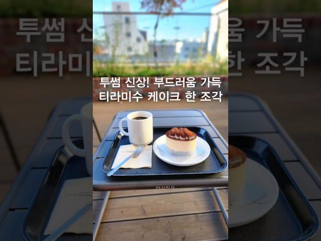 투썸 신상! 티라미수 케이크
