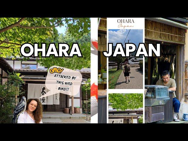 Rural JAPAN | This is the emperors FAVOURITE village, OHARA |