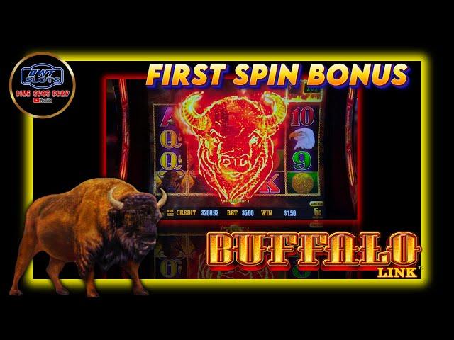 Unbelievable First Spin Bonus on Buffalo Link