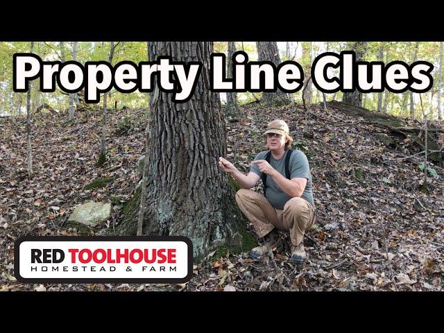 5 CLUES to Help Find Property Lines on Rural Land