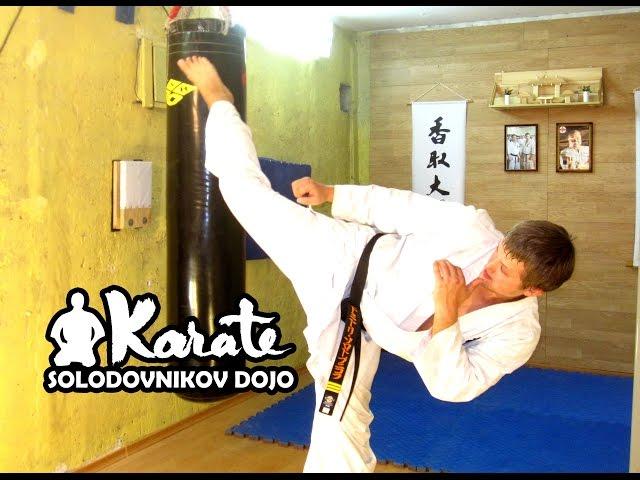 Уширо маваши вертушка удар с разворота / Ushiro mawashi geri / Техника кекусинкай каратэ  таэквондо