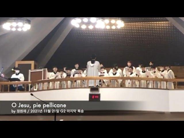 "O Jesu pie pellicane" 대학원 2학년 특송