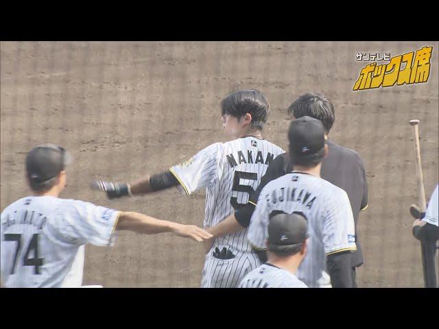 【中野選手が見せた気遣い】６回裏デッドボールのアクシデント（2025年6月22日 阪神-ソフトバンク） #サンテレビボックス席