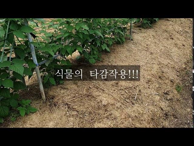 전북 고창 도덕현 농부님을 만나고 왔어요