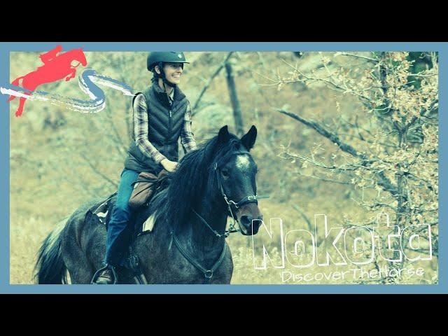 Fast Paced Trail Ride on a Nokota in Custer State Park! | DiscoverTheHorse [Episode #31]