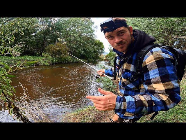 Exploring Rubicon River - Chasing Giant Trout