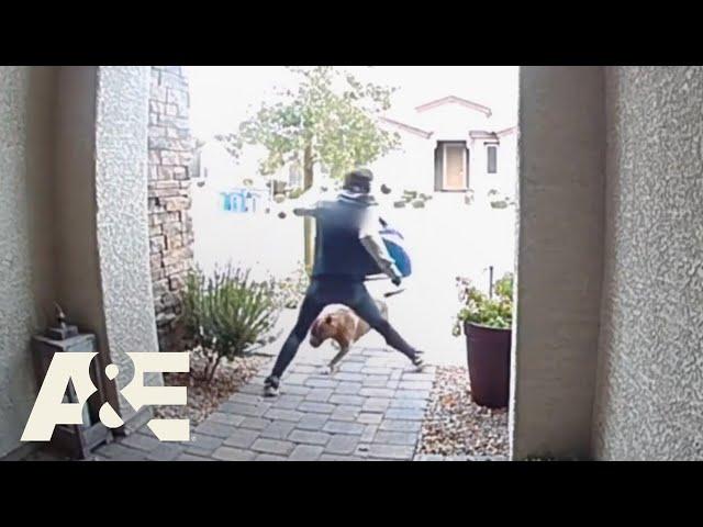 Delivery Driver Saves Homeowner & Dog from Pit Bull Attack | Neighborhood Wars | A&E